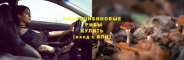 метадон Белокуриха