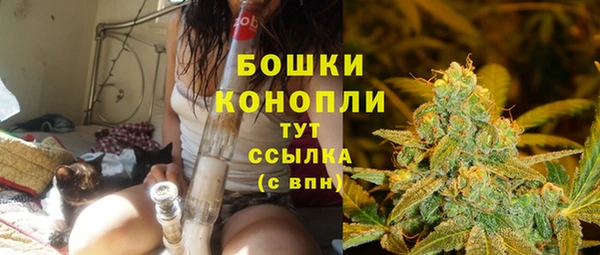 spice Беломорск