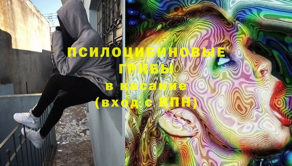 метадон Белокуриха
